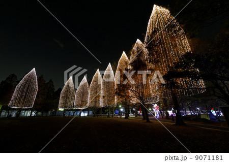 元淵江公園での光の祭典2013 9071181