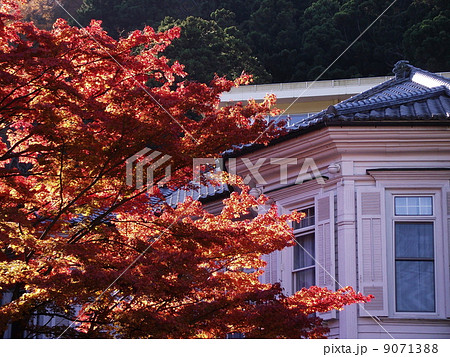 錦秋の箱根・富士屋ホテル 9071388