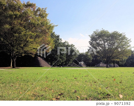 富士見市水子貝塚公園 富士見市水子貝塚公園 9071392