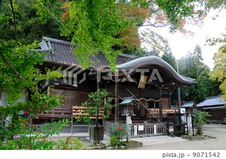葛城一言主神社本殿 葛城一言主神社本殿 9071542