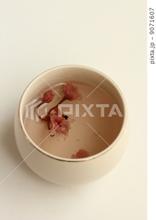 桜茶 桜茶 9071607