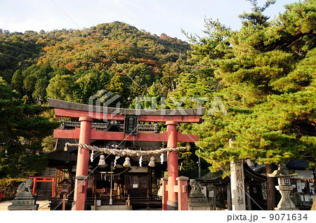 白髭神社社殿 白髭神社社殿 9071634