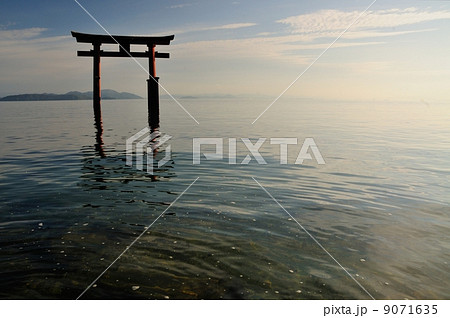 白髭神社 琵琶湖に建つ大鳥居 白髭神社 琵琶湖に建つ大鳥居 9071635