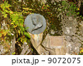 上高地　ウォルター・ウェストン碑 9072075