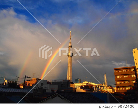 ダブルレインボー 9072400