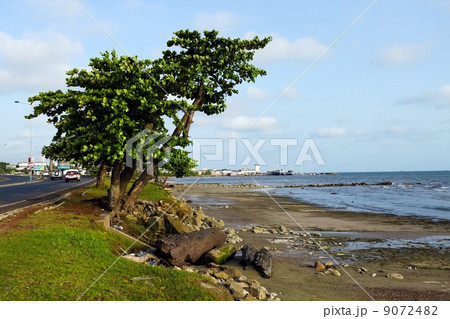 ガボン、リーブルヴィルの海岸線 9072482