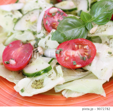 salad salad 9072782