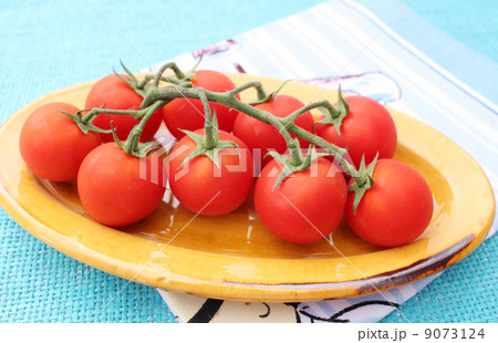 Tomatoes Tomatoes 9073124