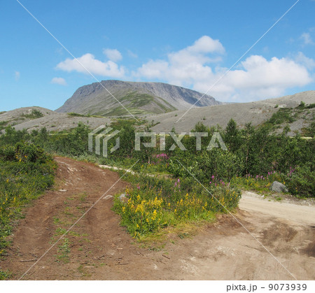 road in the mountains 9073939