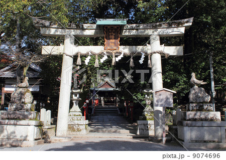 京都　三宅八幡宮 9074696