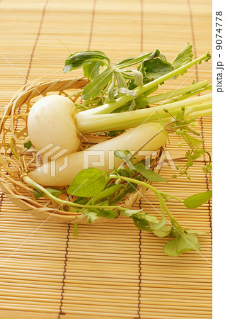 春の七草 春の七草 9074778