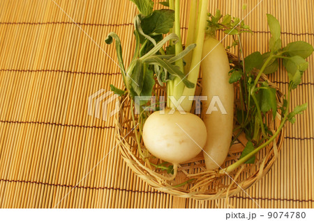 春の七草 9074780