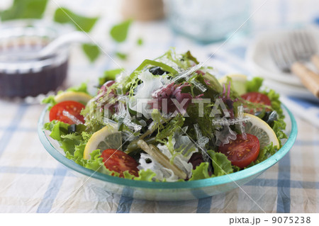 海藻サラダ 9075238