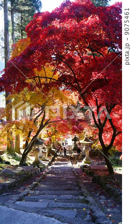 長野市保科清水寺紅葉 長野市保科清水寺紅葉 9075461
