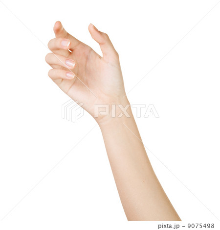 Beautiful woman hand holding isolated on white background 9075498