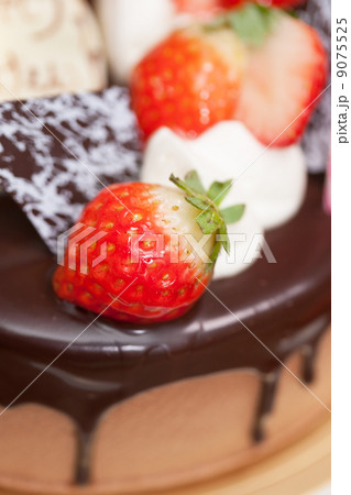 チョコレートケーキ チョコレートケーキ 9075525