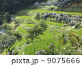 紫陽花のある風景 9075666