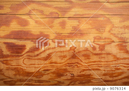 Wooden background 9076314
