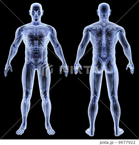 body body 9077922