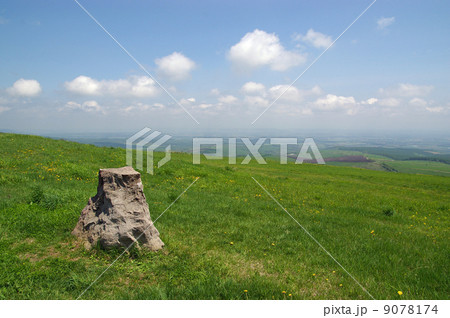 初夏を迎えた北海道の高原 初夏を迎えた北海道の高原 9078174