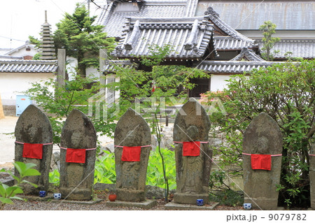 矢田寺 矢田寺 9079782
