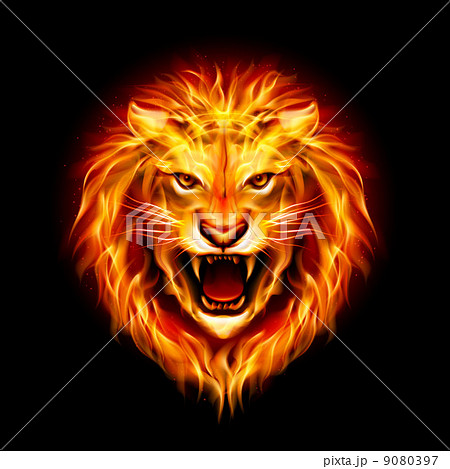 Head Of Fire Lion のイラスト素材