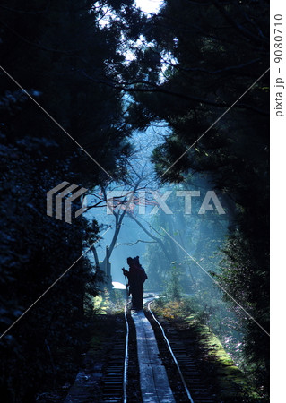 光の中の探検 9080710