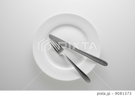 白い皿 白い皿 9081373