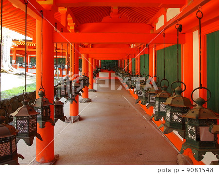 世界遺産　奈良　春日大社　東回廊 9081548