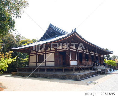 世界遺産　奈良　薬師寺　東院堂 9081895