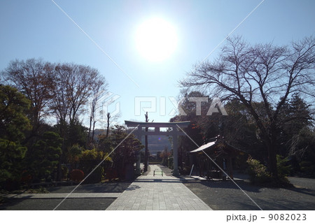 青空 太陽 緑と白の大鳥居 9082023