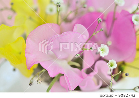 スイトピーのフラワーアレンジメント 9082742
