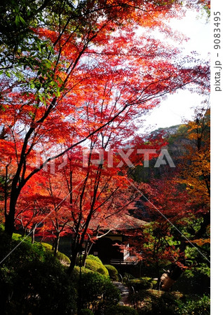 和歌山城 紅葉渓庭園 和歌山城 紅葉渓庭園 9083495