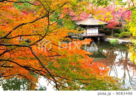 和歌山城 紅葉渓庭園 和歌山城 紅葉渓庭園 9083496