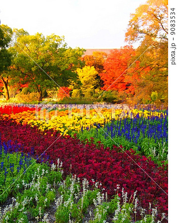 紅葉と沢山の花 9083534