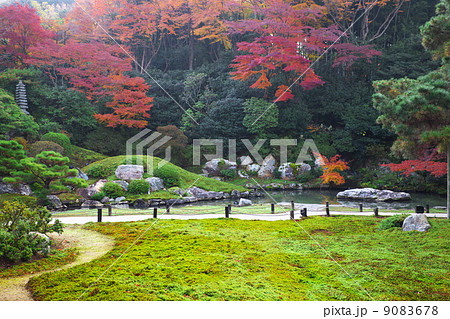 青蓮院庭園 9083678