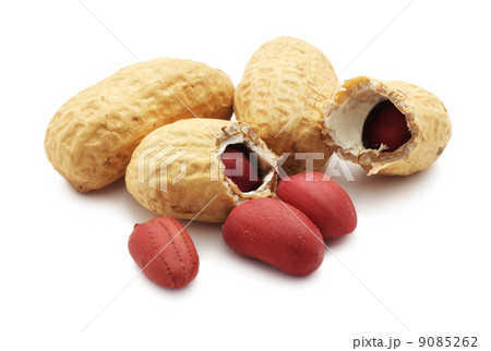 Peanuts 9085262