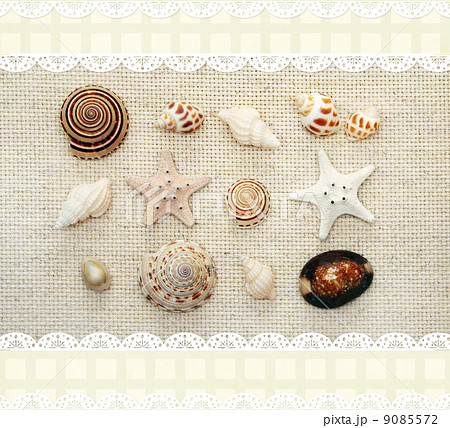 Starfishes and conches on canvas texture Starfishes and conches on canvas texture 9085572