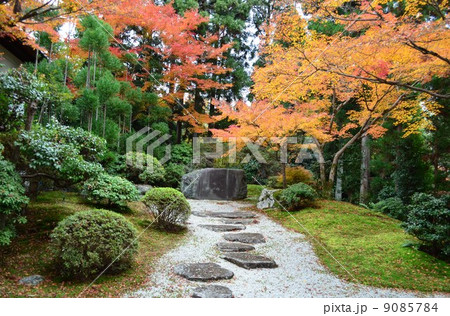 秋色の京都常照寺帯塚 9085784
