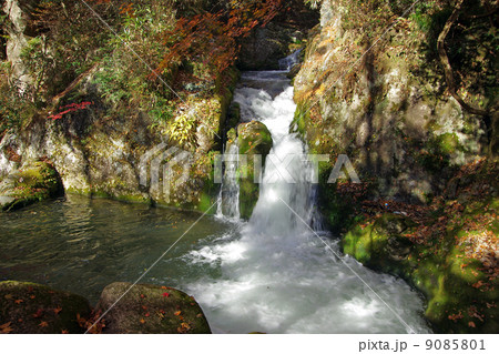 滝 9085801