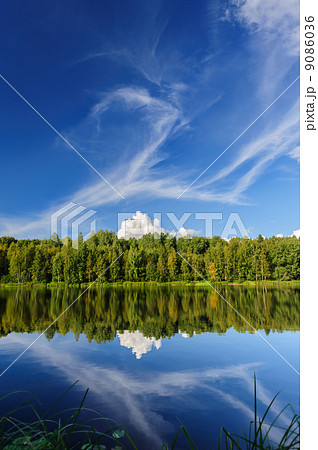 Northern river and woods Northern river and woods 9086036