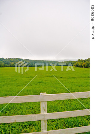 牧場タテ 牧場タテ 9086085