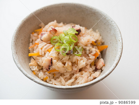 蛸飯 蛸飯 9086599