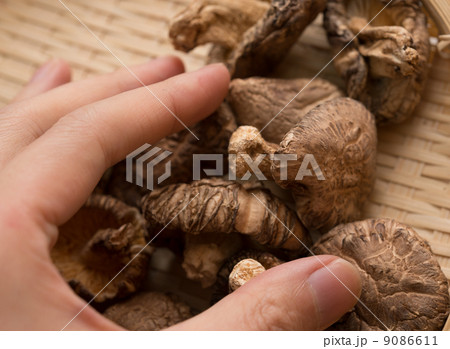 乾燥シイタケ 9086611