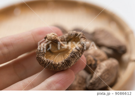 乾燥シイタケ 9086612