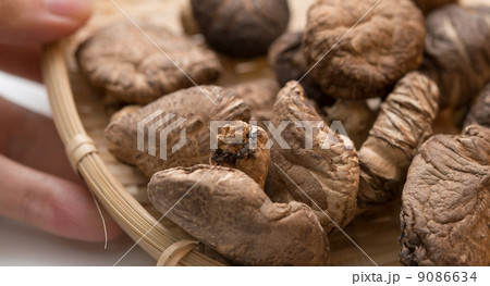 竹ざるに盛られた干し椎茸 竹ざるに盛られた干し椎茸 9086634