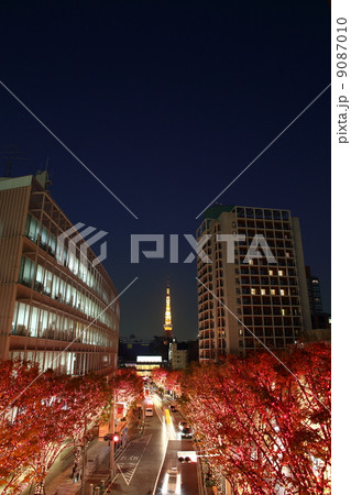 けやき坂のイルミネーション 9087010