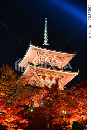 京都清水寺ライトアップ 9087604