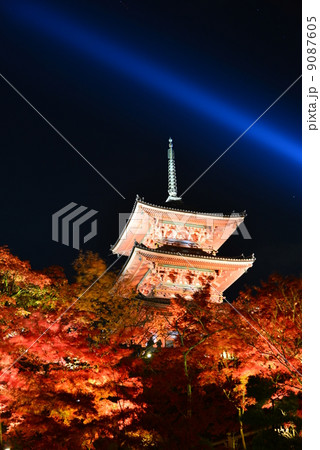 京都清水寺ライトアップ 9087605