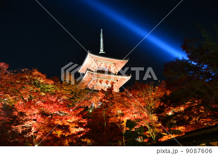 京都清水寺ライトアップ 9087606
